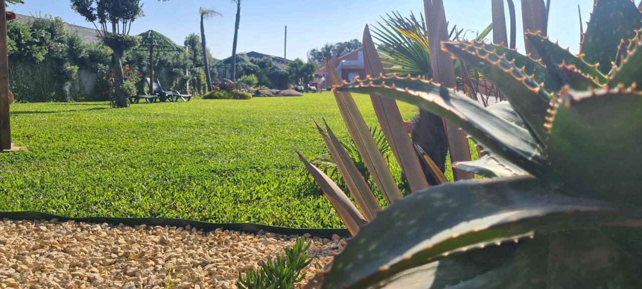 Hollidays Dreams Villa Povoa de Varzim Ngoại thất bức ảnh