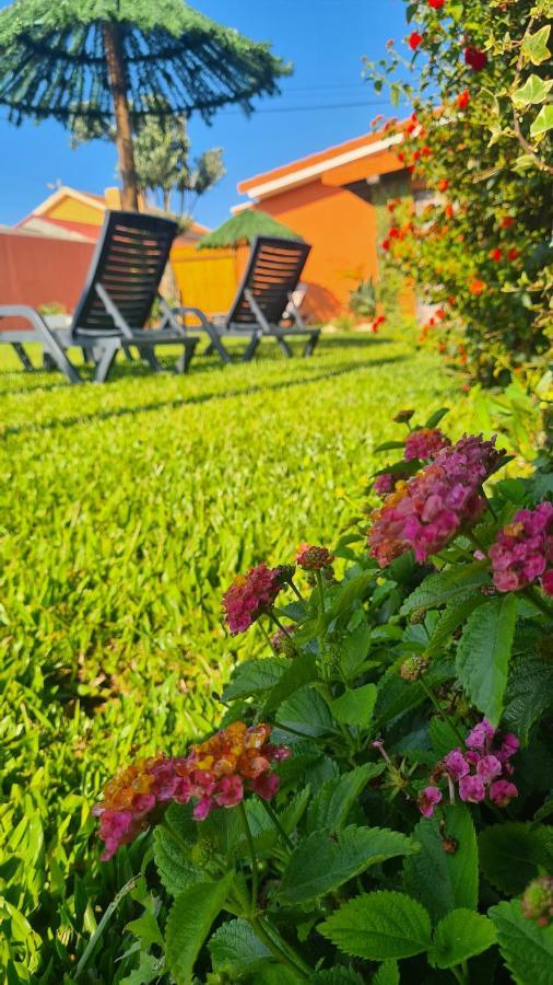 Hollidays Dreams Villa Povoa de Varzim Ngoại thất bức ảnh